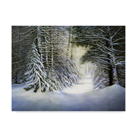 TRADEMARK FINE ART John Morrow 'Winter Song' Canvas Art, 14x19 ALI21308-C1419GG